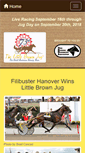 Mobile Screenshot of littlebrownjug.com
